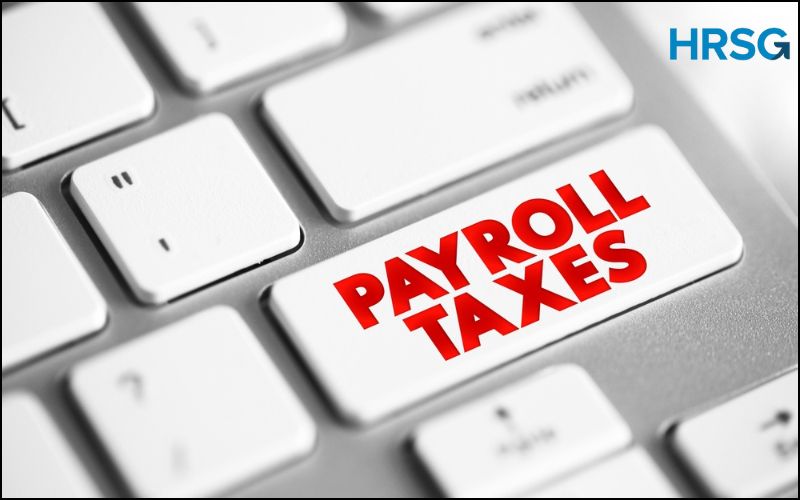 Payroll & Taxes